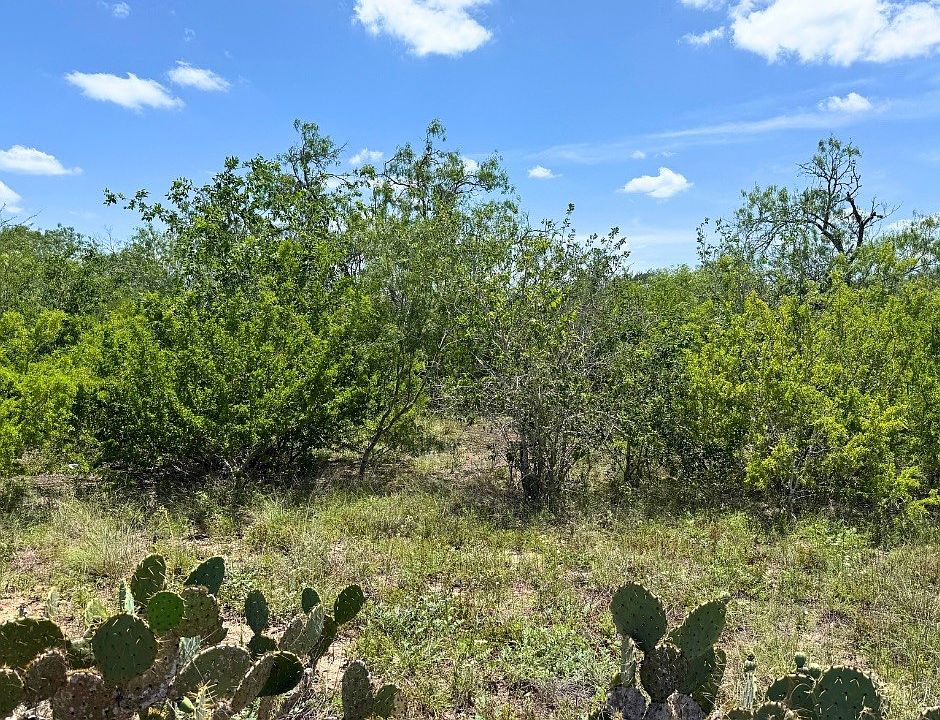 2nd image of 0 County Road 334