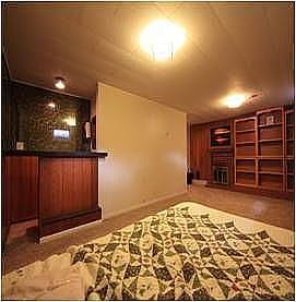 Wet Bar, Fireplace Guest Room