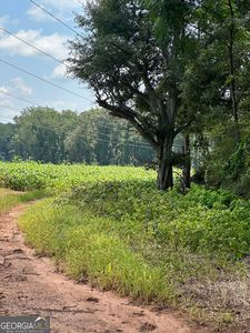 1981A Broughton Rd, Newborn, GA, 30056