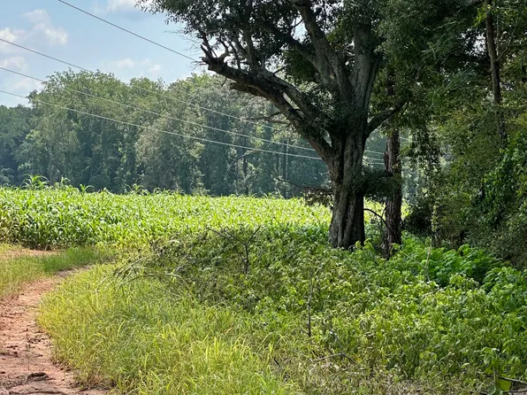 1981A Broughton Rd, Newborn, GA 30056