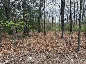 4th image of LOT 10 Entry Rd