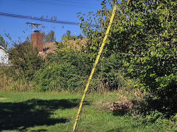 5th image of 2264 Shelton St