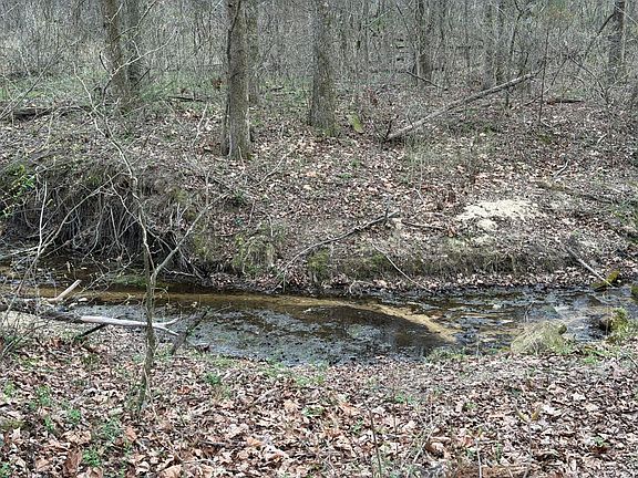 3rd image of 319 N Girtman Rd