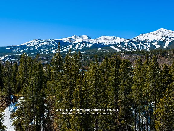 2nd image of 309 Royal Tiger Rd