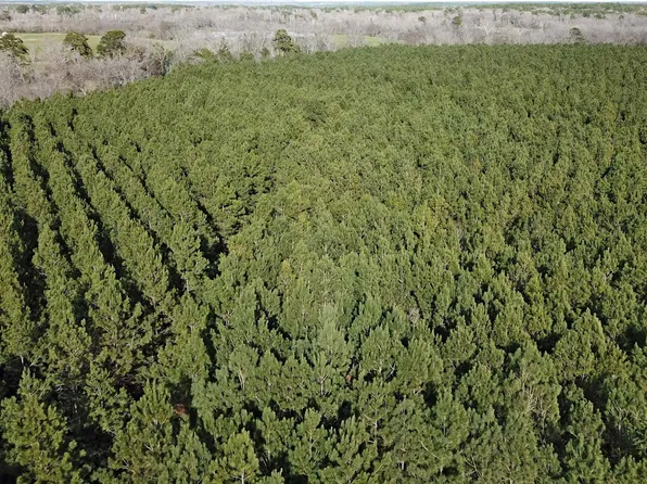 County Road 836, Nacogdoches, TX 75964