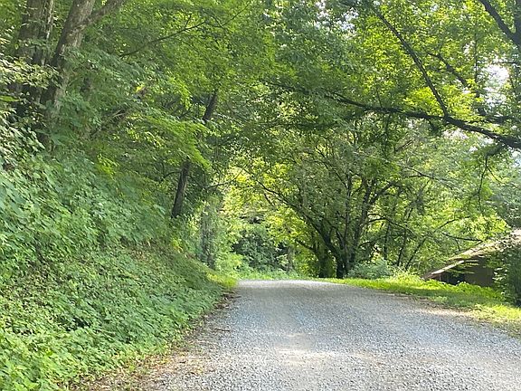 5th image of 9557 Chestnut Ridge Rd