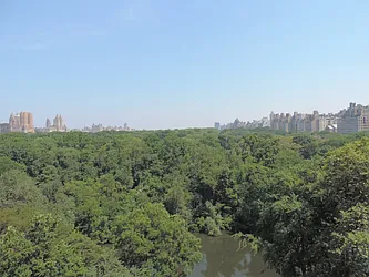 Rented by essential NEW YORK Real Estate