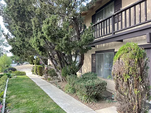 135 Olinda Pl #D Photo 1