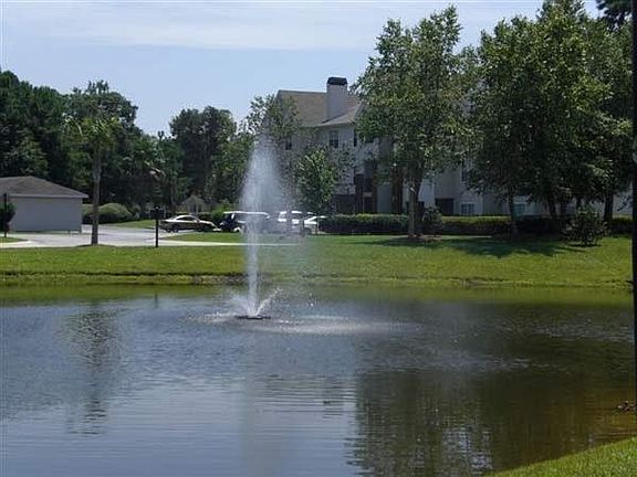 One of the many ponds on the property