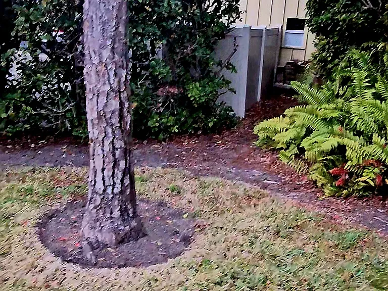 Side yard, Access to trash container