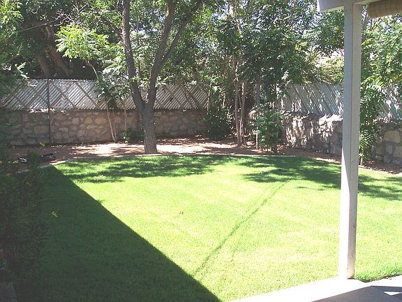 Backyard Grass area