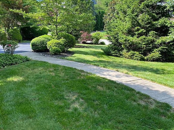 2nd image of 204 Wakefield Ct