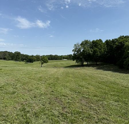 3rd image of 16026 N Mount Olive Rd