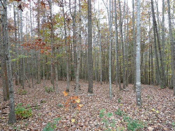 Looking directly into Lot 53