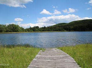 130 Brookview Dr, Stamford, NY 12167