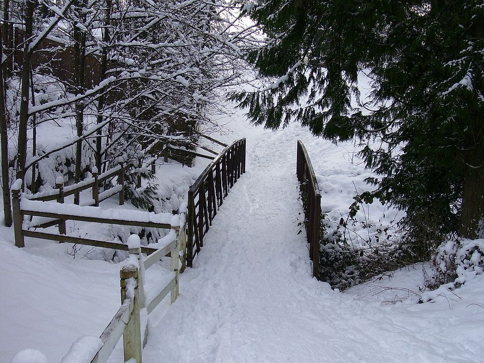 Our walk...