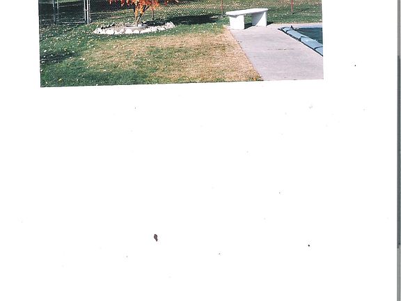 backyard in the fall