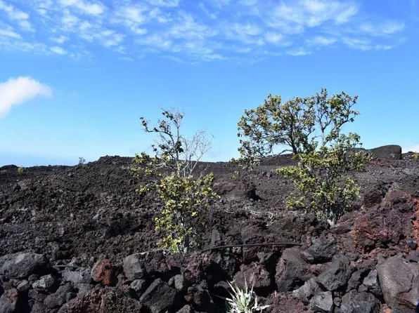 Marlin Blvd Lot 15, Captain Cook, HI 96704