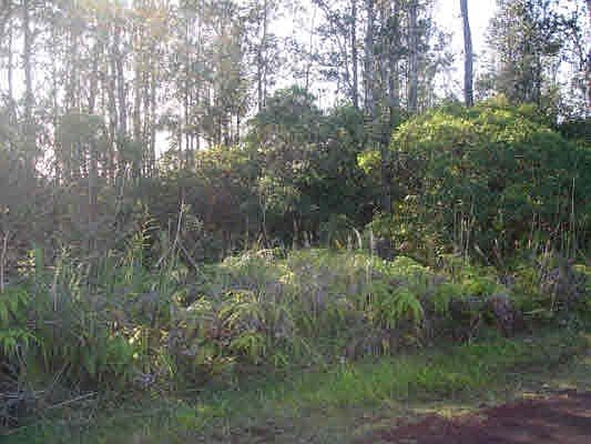 1st image of Aloha Dr Lot 20