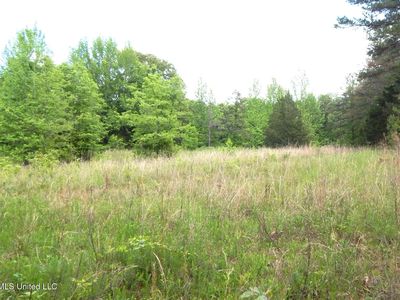 1015 Saulsbury Rd, Falkner, MS, 38629
