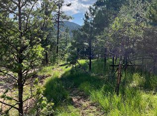 9 Platinum Strip, Cloudcroft, NM 88317