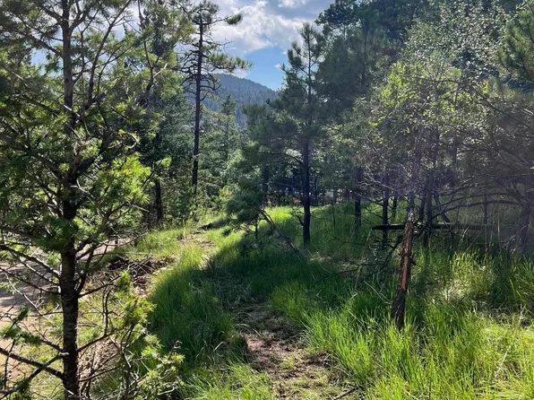 9 Platinum Strip, Cloudcroft, NM 88317