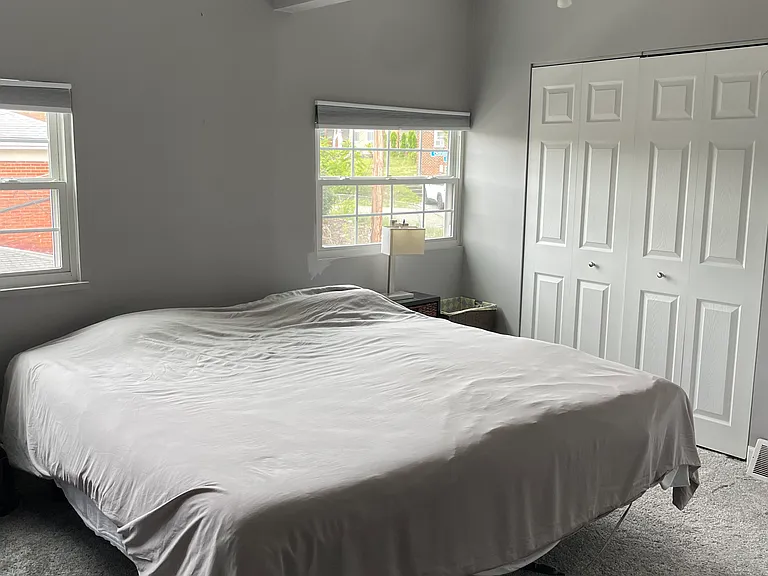 57 Albert St — Photo 15
