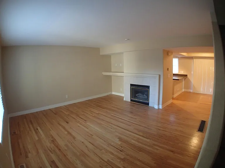 Gas Fireplace