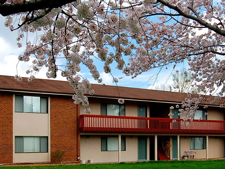Shiloh Commons Holdings — Photo 19