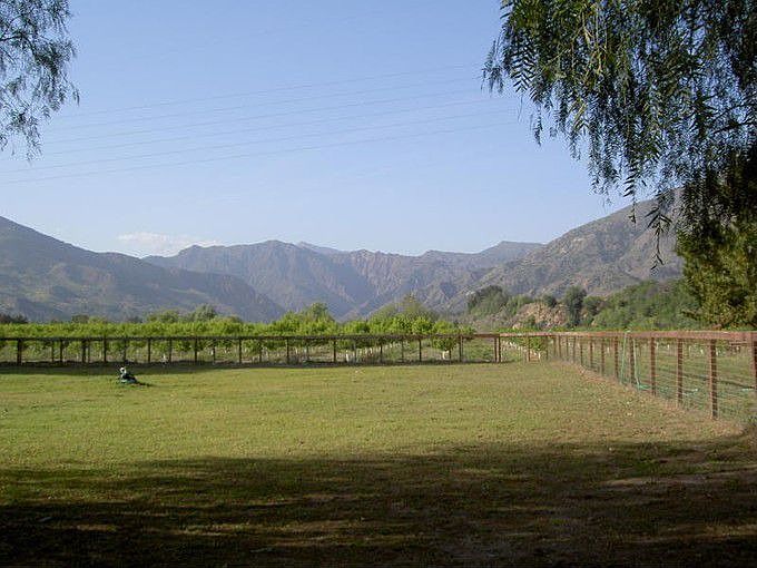 Pasture View From Deck