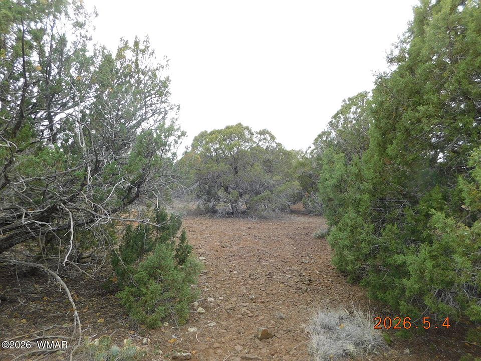 1st image of 8333 Ridge Dr