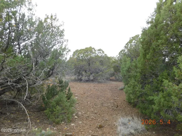 8333 Ridge Dr, Show Low, AZ 85901
