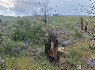 Meadow Mountain Dr, Livermore, CO 80536