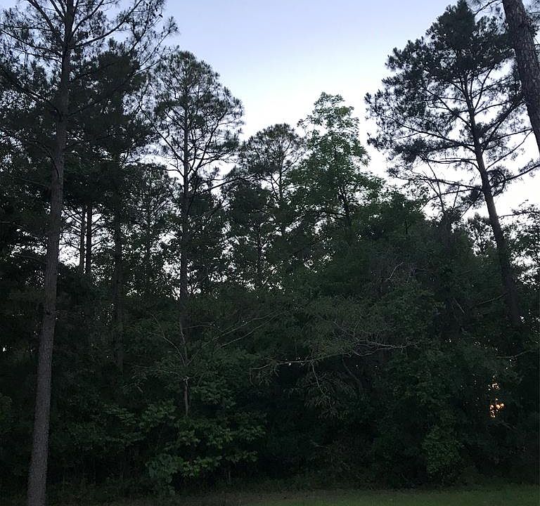 1st image of 263 Pebble Hill Cir
