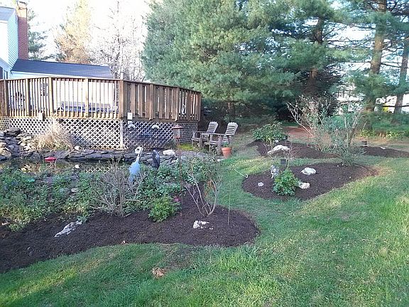 Back yard pool and pond
