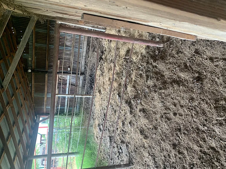 2339 W FM 898 — Photo 36