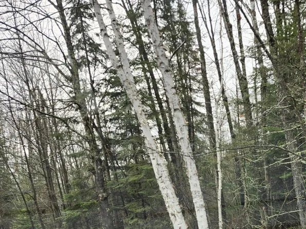 W Indian Way, Winter, WI 54896