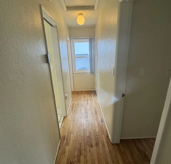1351 Felspar St — Photo 10