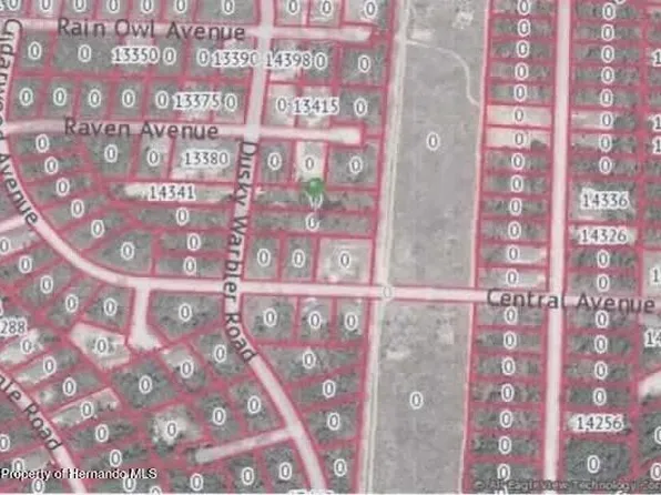 14330 Dusky Warbler Rd, Brooksville, FL 34614