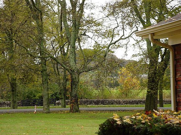 side yard & across street