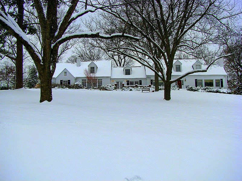 Winter Snow 2010