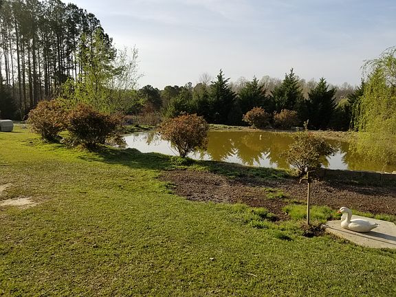 pond. left side
