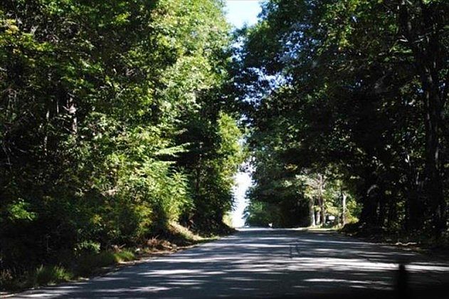 2nd image of 37 Stage Rd