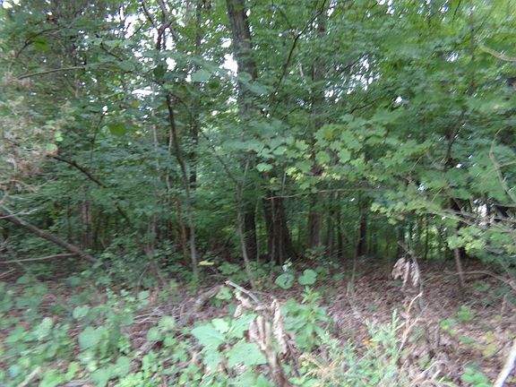 5th image of Doe Valley Pkwy E #202