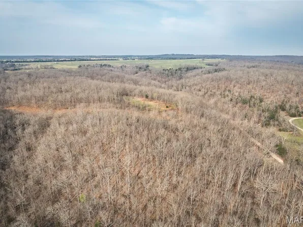 12980 Canyon Rd, Dixon, MO 65459