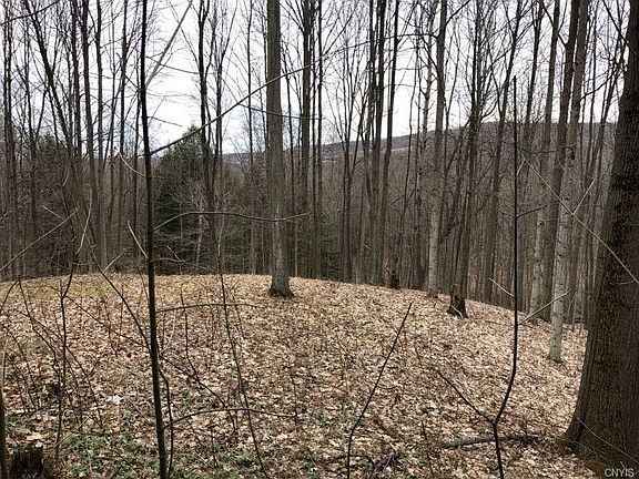 4th image of 4320 Trestle Lake Dr