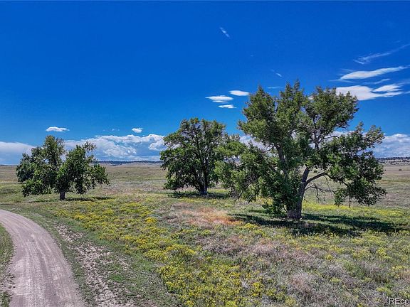 3rd image of Fiddleback Ranch Road