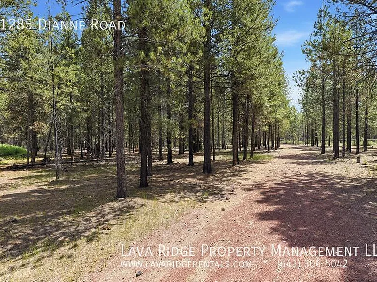 51285 Dianne Rd — Photo 65