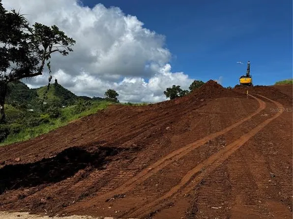 Carr 155 Km 31.2 Int Bo Barros Lot 1, Orocovis, PR 00720