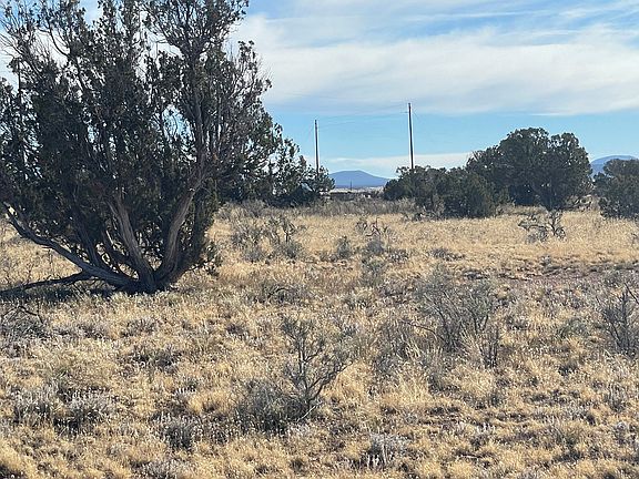 4th image of 3859 S Grand Canyon Blvd